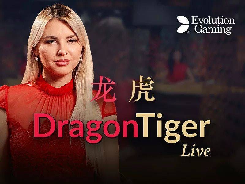 The Basics of Playing Dragon Tiger Live